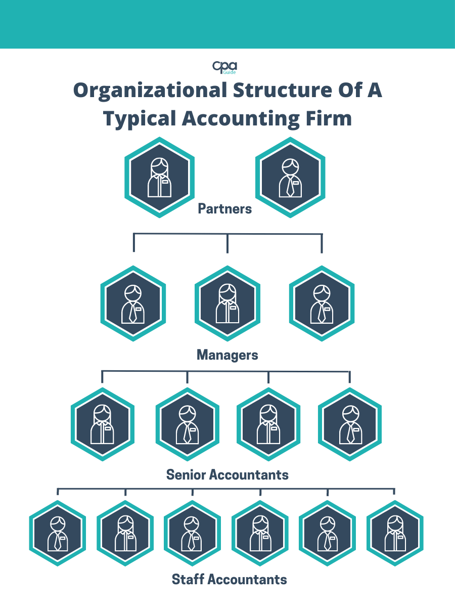 The hierarchical structure of typical accounting firms in Canada which is composed of accountants at the bottom of the structure, managers, and partners at the top of the structure.