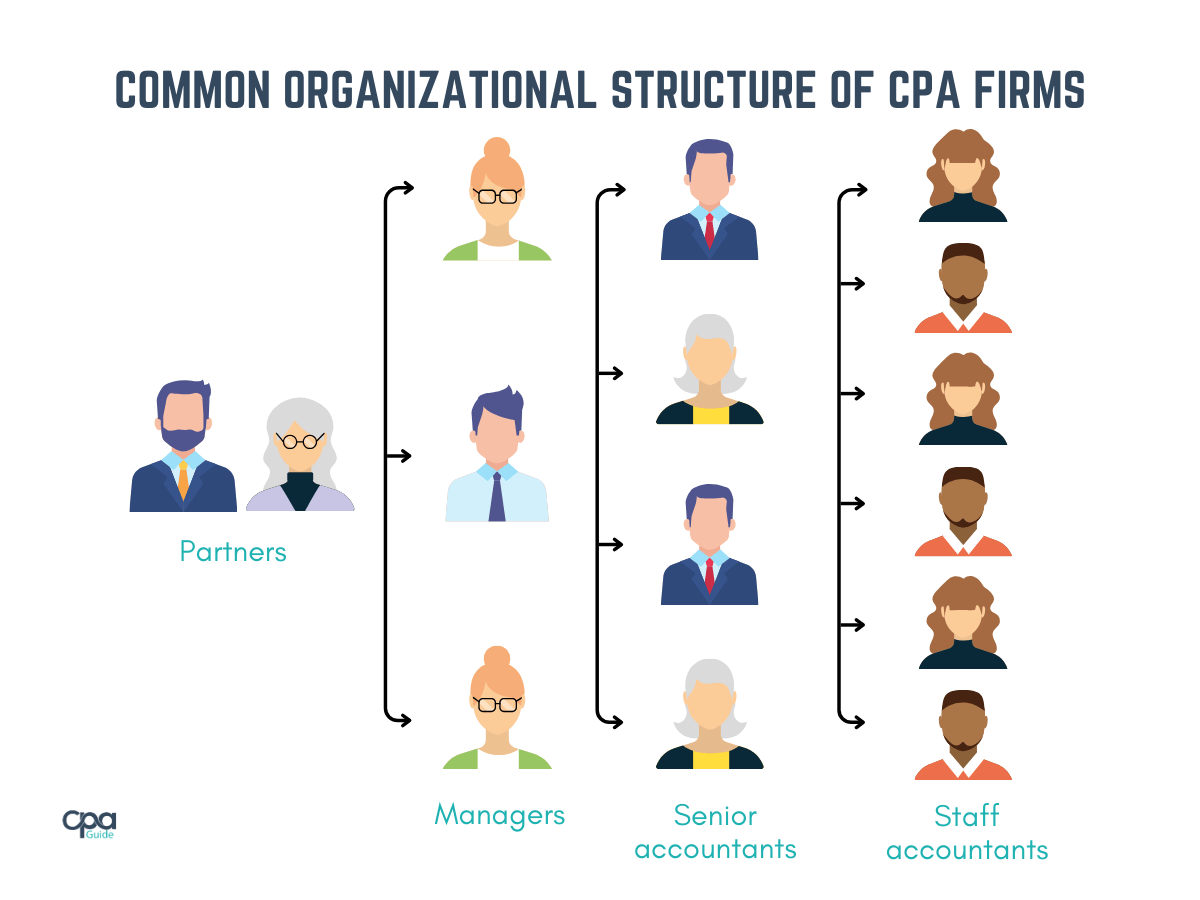 An illustration of organizational structure of CPA firms.