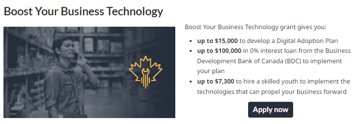 A screenshot from ISED website explaining what people can get from the Boost Your Business Technology CDAP stream.
