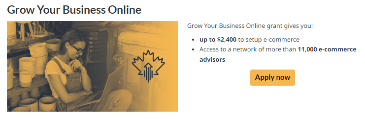 A screenshot from ISED website explaining what people can get from the Grow Your Business Online CDAP stream.